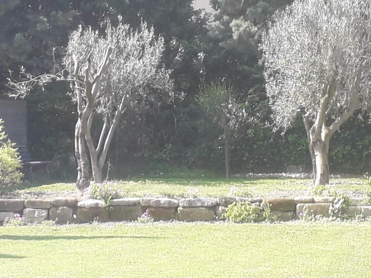 Mas La Maison de mon Père  Proche AVIGNON à PUJAUT Pujaut Exterior foto